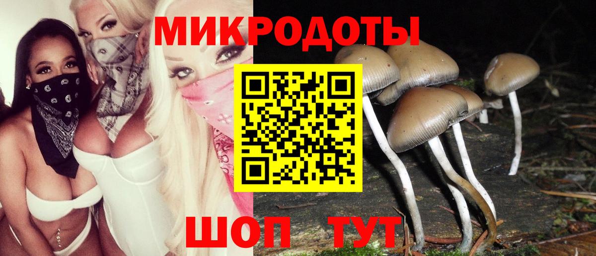 Галлюциногенные грибы мицелий  Псилоцибиновые грибы Magic Shrooms  Советск  Вход с VPN 